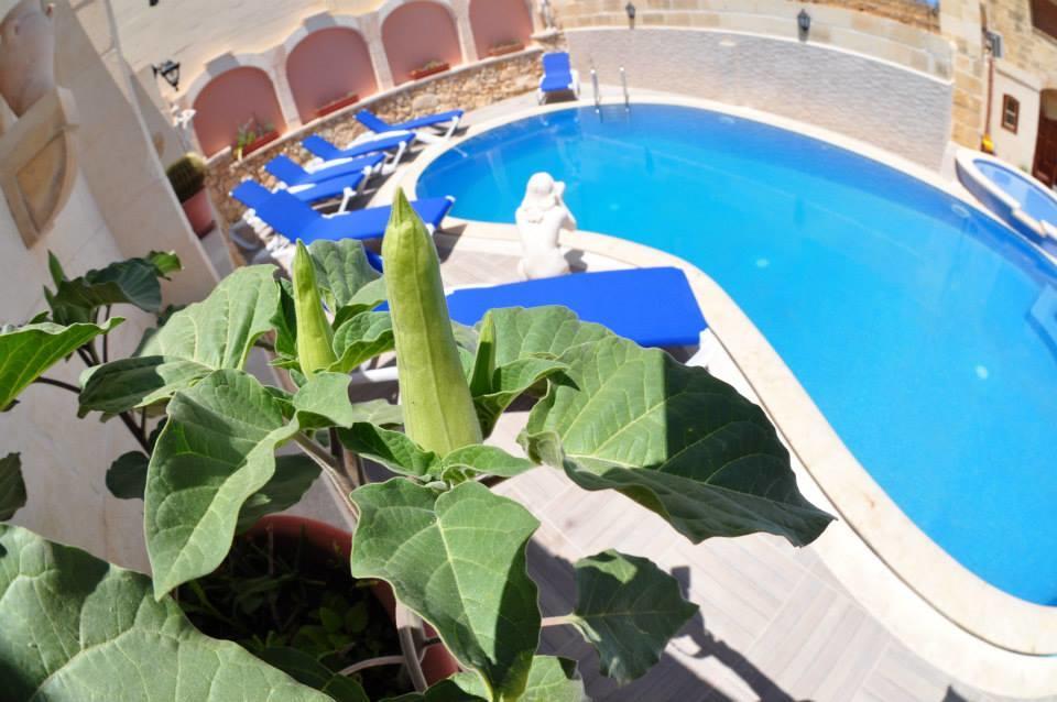 Mikiel U Rosa Holiday Farmhouse With Large Private Pool Zebbug  Exteriér fotografie